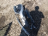 SHHFK7H93JU****** Destrozados 2018 Honda Civic en Estado de Nueva Jersey
