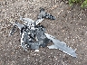 19UUB6F53MA****** Wrecked 2021 Acura TLX in Virginia State