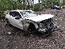 19UUB6F53MA****** Salvage and Wrecked 2021 Acura TLX in Suffolk
