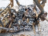 3NSR4D920PF****** Usados 2023 Polaris RZR en Charlotte