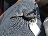 1FTRW12W38F****** Salvamento 2008 Ford F-150 en Estado de Carolina del Norte