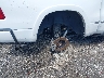 1C6SRFHT9PN****** Salvamento y Reparables 2023 RAM 1500 en Estado de Pennsylvania