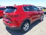 KNDPM3AC6H7****** Salvage and Wrecked 2017 Kia Sportage in Arizona State