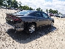 2C3CDXBGXPH****** Salvamento y Destrozados 2023 Dodge Charger en Estado de Virginia Occidental