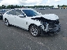 1HGCY1F20RA****** Salvamento y Destrozados 2024 Honda Accord en Clearwater