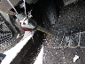 1G1ZE5EB2A4****** Salvamento 2010 Chevrolet Malibu en Estado de Ohio