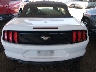1FATP8UH9J5****** Salvage 2018 Ford Mustang