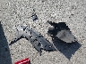 KMHLS4DG6RU****** Wrecked 2024 Hyundai Elantra in Illinois State
