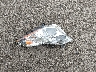 JN1BJ1BV4MW****** Wrecked 2021 Nissan Rogue Sport in California State