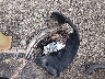 5TDJKRFHXFS****** Wrecked 2015 Toyota Highlander in Kentucky State