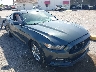 1FA6P8AM9G5****** Salvamento y Destrozados 2016 Ford Mustang en Tampa