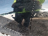 JN8AS5MV7AW****** Salvamento 2010 Nissan Rogue