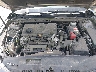 4T1B11HK0KU****** Reparables 2019 Toyota Camry en Springfield