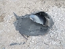 KMHRC8A30MU****** Wrecked 2021 Hyundai Venue in Texas State