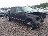 1FTFW1EV5AF****** Salvage and Wrecked 2010 Ford F-150 in Lexington