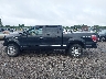 1FTFW1EV5AF****** Salvage 2010 Ford F-150