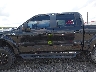 1FTFW1EF9DF****** Salvamento 2013 Ford F-150