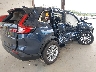 2HKRS4H74SH****** Salvamento y Destrozados 2025 Honda CR-V en Estado de Washington