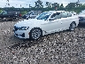 WBA13BJ01MC****** Usados y Reparables 2021 BMW 530i en Long Island