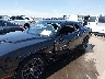 2C3CDZFJ9GH****** Salvamento y Reparables 2016 Dodge Challenger en Estado de Carolina del Norte