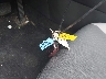 2T3P1RFVXRC****** Salvage 2024 Toyota RAV4 in Massachusetts State