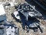 2T3P1RFVXRC****** Wrecked 2024 Toyota RAV4 in Massachusetts State