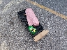 1N4BL4CV9NN****** Wrecked 2022 Nissan Altima in Florida State
