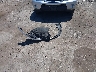 1FMSK7DH5LG****** Wrecked 2020 Ford Explorer in Virginia State