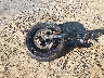 MLY1ZC414SS****** Salvage 2025 Harley-Davidson Sportster in North Carolina State