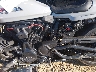MLY1ZC414SS****** Used 2025 Harley-Davidson Sportster in Rec Rides Online Exclusive