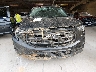 3GKALVEV5KL****** Destrozados 2019 GMC Terrain en Estado de Tennessee