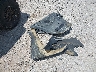 5Y4AN42YXRA****** Wrecked 2024 Yamaha Wolverine RMAX2 in Kentucky State