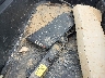 3JBAKAX25PE****** Wrecked 2023 Can-Am Commander in Tennessee State