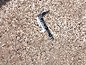 2C3CCAAG8DH****** Wrecked 2013 Chrysler 300 in Texas State