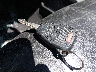 1C4HJWEG4FL****** Salvamento 2015 Jeep Wrangler en Estado de Massachusetts
