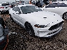 1FA6P8TH7P5****** Salvamento y Destrozados 2023 Ford Mustang en Tulsa