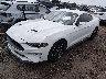 1FA6P8TH7P5****** Usados y Reparables 2023 Ford Mustang en Tulsa