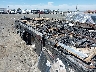 5B4MPA7G763****** Used and Repairable 2006 Workhorse Custom Chassis Motorhome Chassis in California State