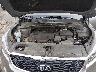 5XYPG4A35KG****** Repairable 2019 Kia Sorento in Jackson