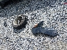 3GNAXUEV6NL****** Destrozados 2022 Chevrolet Equinox en Estado de Carolina del Sur
