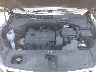 5XYPGDA3XLG****** Repairable 2020 Kia Sorento in Buffalo