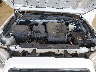 3TMCZ5AN8MM****** Repairable 2021 Toyota Tacoma in Provo
