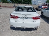 4T1G11AK6LU****** Destrozados 2020 Toyota Camry