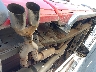 1GCEK19T03E****** Salvage 2003 Chevrolet Silverado 1500