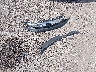 2HGFC2F70GH****** Destrozados 2016 Honda Civic en Estado de Luisiana