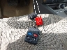 3FAHP0HA0BR****** Salvage 2011 Ford Fusion in Louisiana State