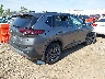 5N1BT3AB8PC****** Salvamento y Destrozados 2023 Nissan Rogue en Estado de Illinois