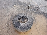 3NSNEC993RF****** Salvage and Wrecked 2024 Polaris RZR in Saint Louis