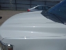 1FTFW1ED1PF****** Used and Repairable 2023 Ford F-150 in Dream Rides