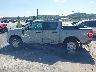 3FTTW8A31RR****** Salvage 2024 Ford Maverick